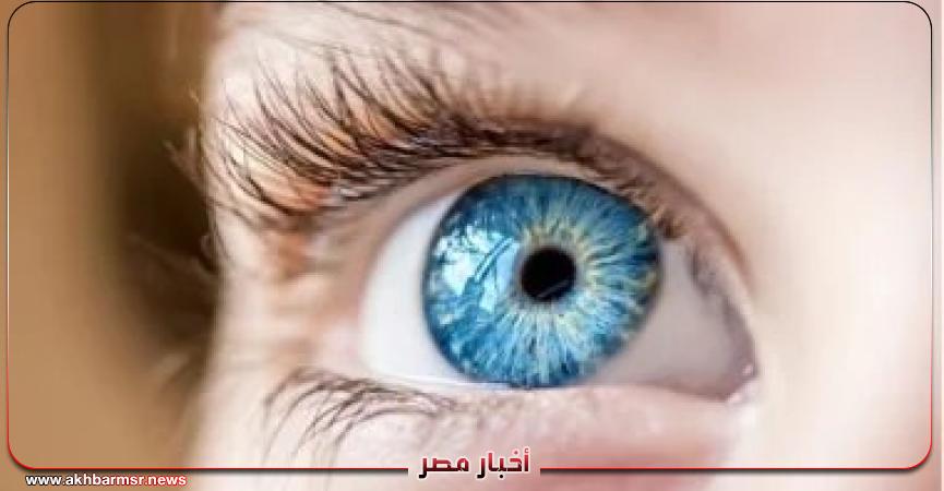 أخبار مصر 2050